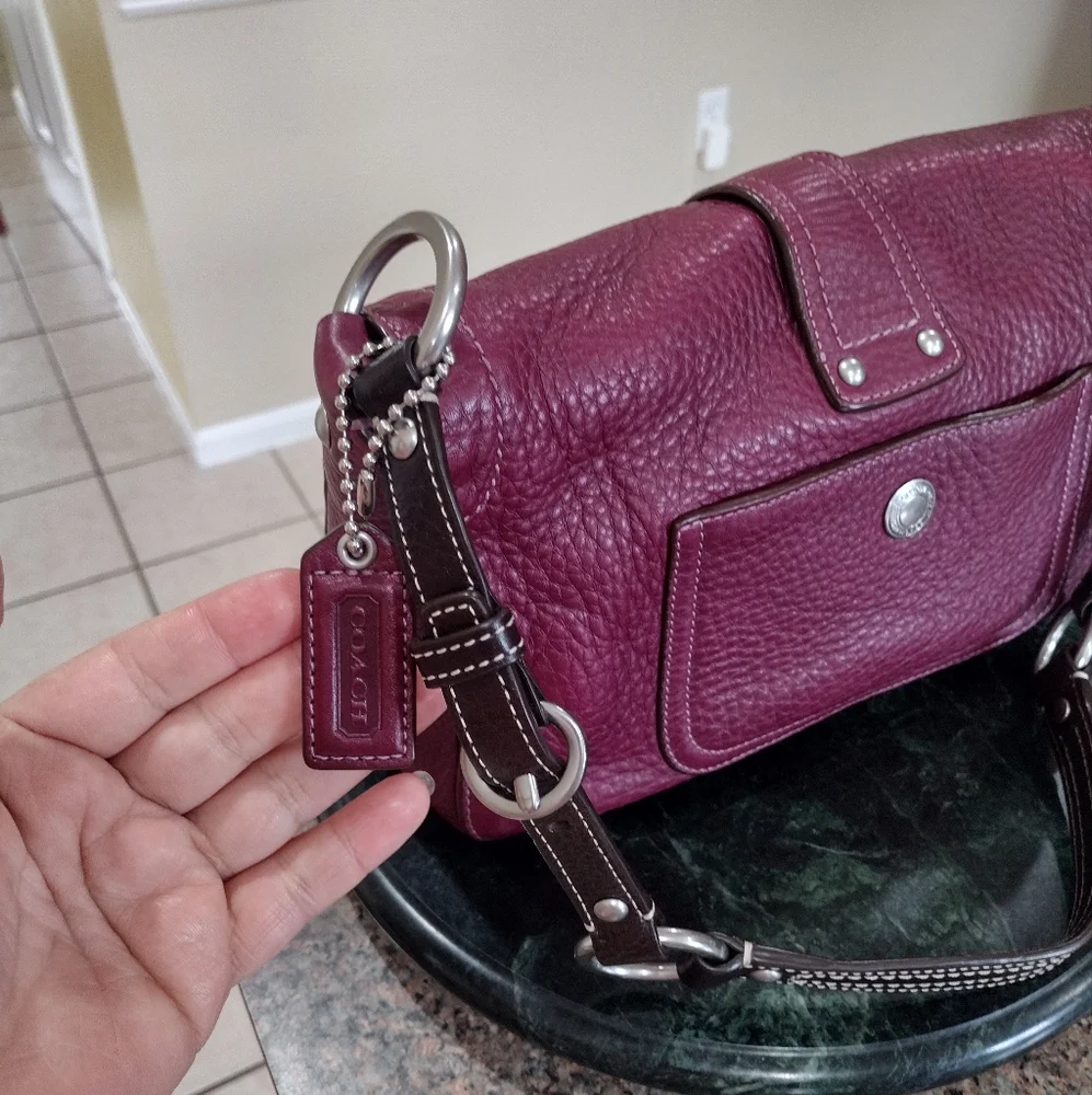 NWT Coach Chelsea Pebbled Leather Medium Shoulder Bag Purse Silver Hardw… - Picture 4 of 17